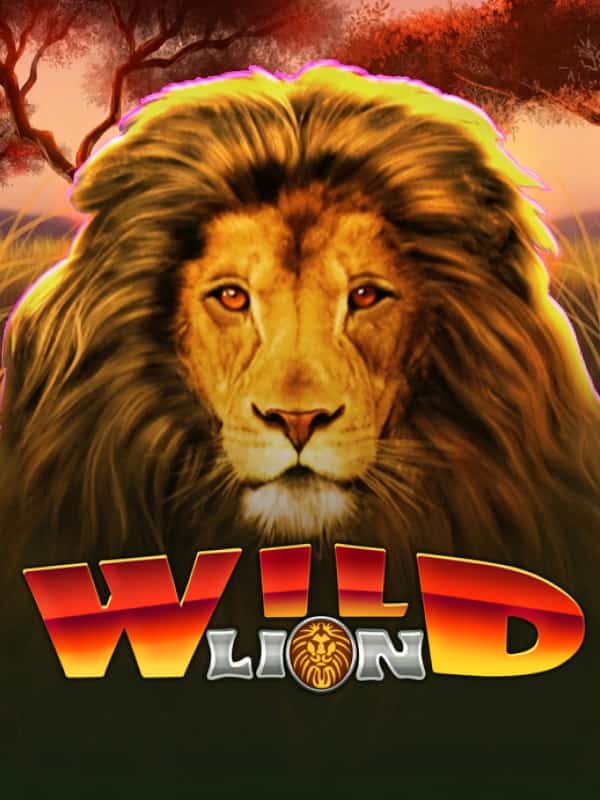 Wild Lion